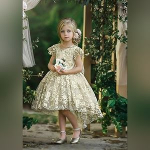 Dollcake Couture Sienna Dress size 10